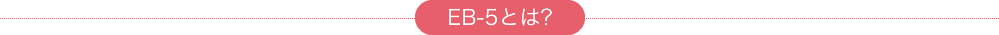 EB-5とは？