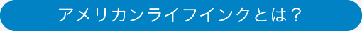 アメリカンライフ　インクとは？